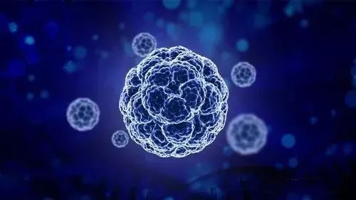 儲存免疫細胞=儲存“健康”，抓住細胞存儲黃(huáng)金(jīn)期，為(wèi)生(shēng)命備份！