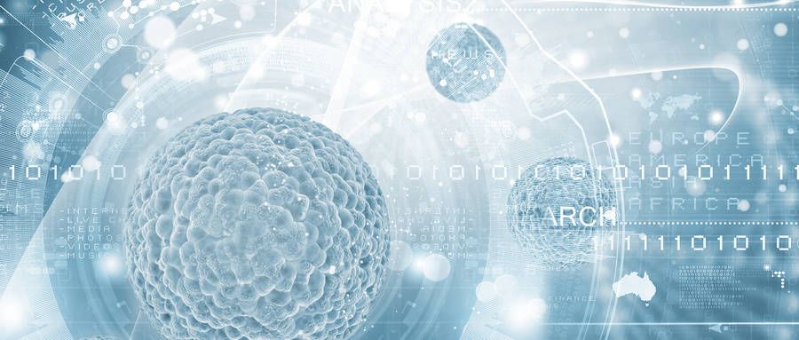 4個(gè)案例表明(míng)：幹細胞能(néng)提升半月(yuè)闆損傷修複和(hé)愈合速度