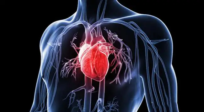 幹細胞治療心髒疾病領域取得(de)突破