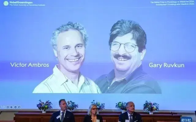 2024諾貝爾生(shēng)理(lǐ)學或醫(yī)學獎 | miRNA将為(wèi)細胞治療鋪平道(dào)路(lù)！