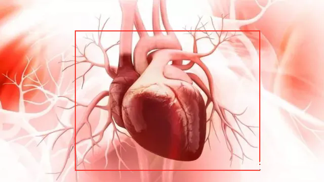 幹細胞恢複血管功能(néng)，有(yǒu)效幹預心腦(nǎo)血管疾病