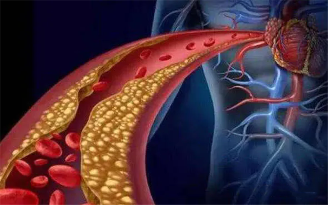 640.webp (1)_副本.png