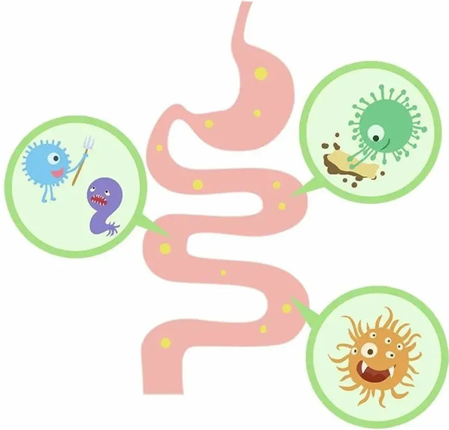 640.webp (4)_副本.jpg