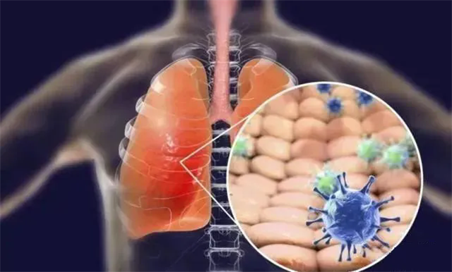 640.webp (1)_副本.png