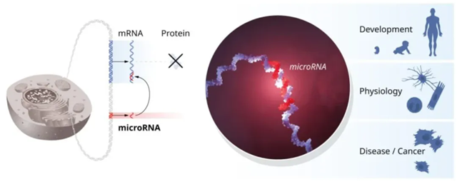 640.webp (2)_副本.png