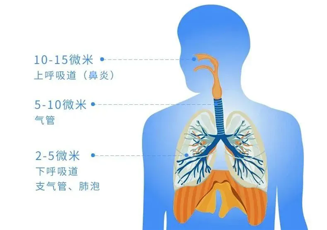 640.webp (6)_副本.png