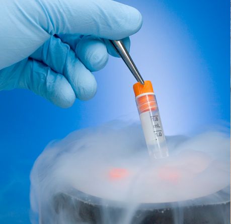 細胞銀(yín)行(xíng)：儲存細胞資源，保障一(yī)生(shēng)健康