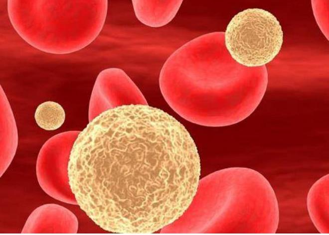 高(gāo)血脂：現(xiàn)代人(rén)體(tǐ)檢報(bào)告的(de)“常客”