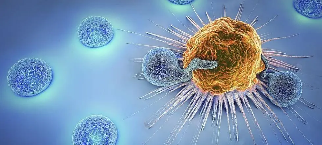 HSK無腫瘤健康管理(lǐ) | 有(yǒu)效預防和(hé)治療130多(duō)種實體(tǐ)瘤、40多(duō)種自(zì)身(shēn)免疫性疾病