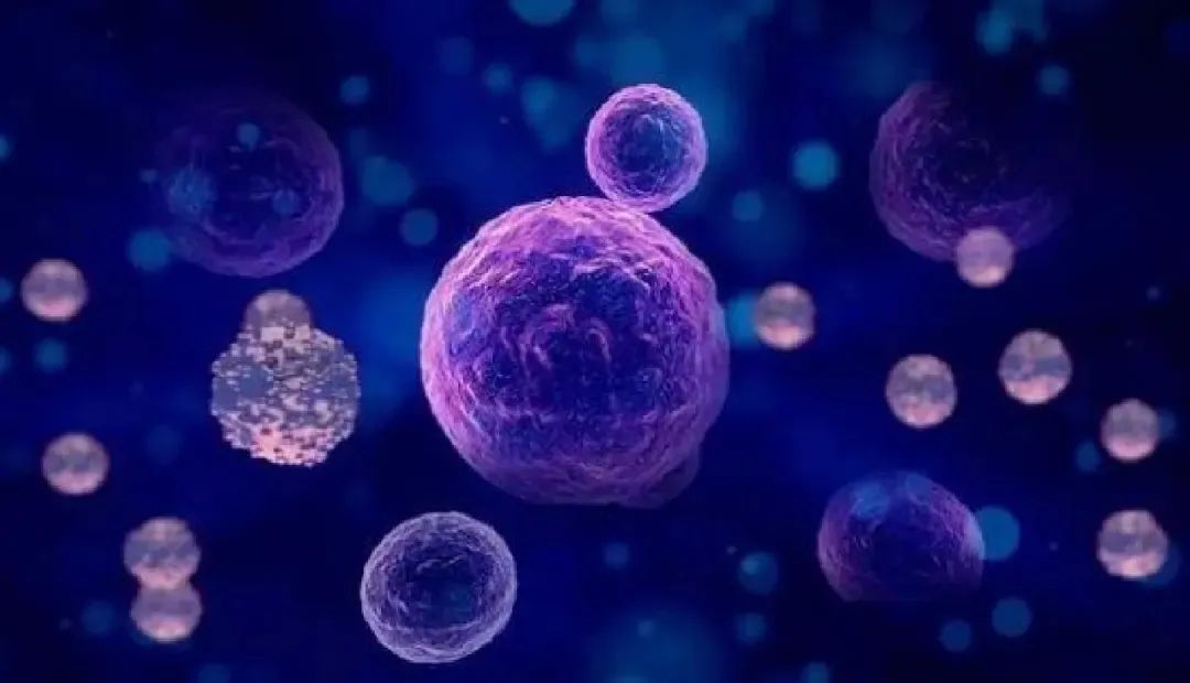 存錢(qián)不(bù)如(rú)存健康！您了(le)解免疫細胞存儲嗎(ma)？