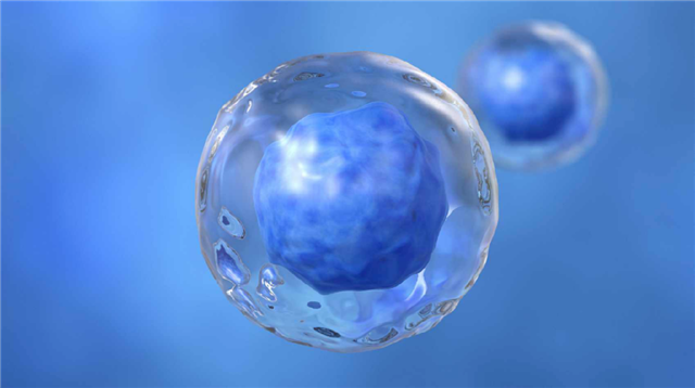 回輸50億NK細胞後，身(shēn)體(tǐ)會(huì)有(yǒu)哪些(xiē)驚人(rén)反應？