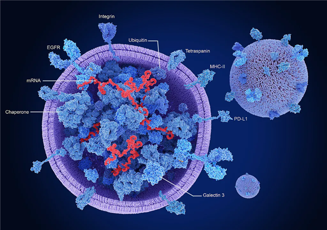 640.webp (1)_副本.png